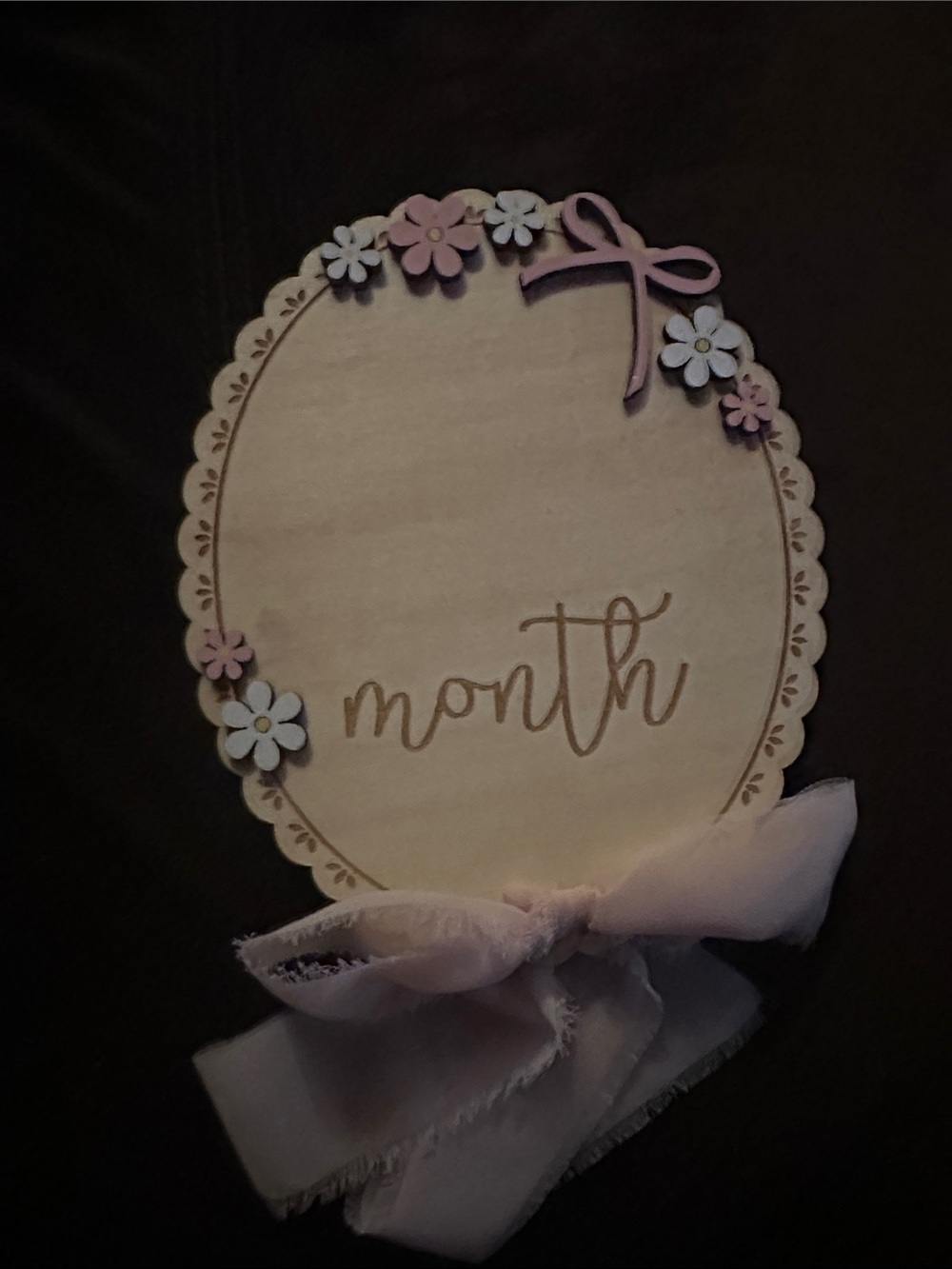 Baby Monthly Milestone Plaque - Pink & White Floral